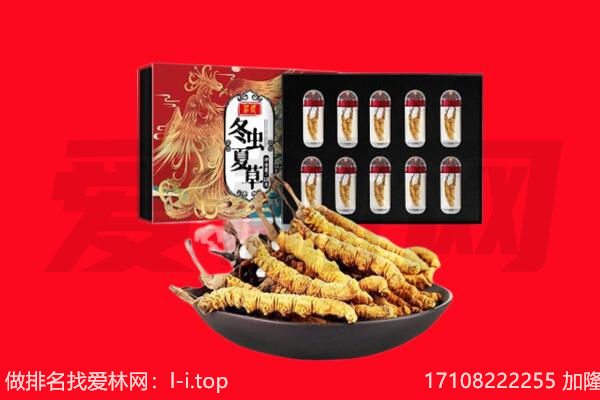 长顺县回收虫草.jpg